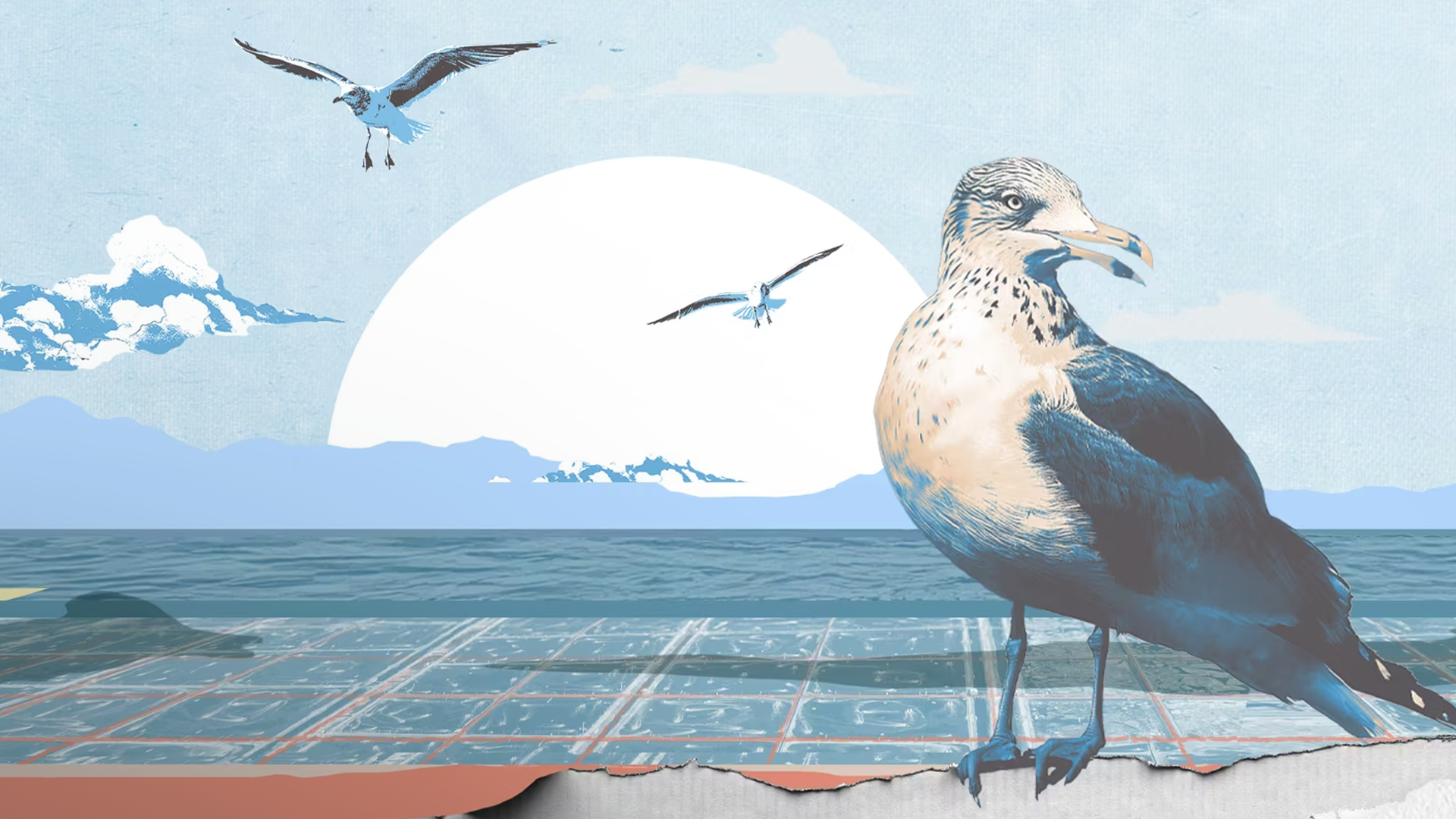 National Aquaculture Group